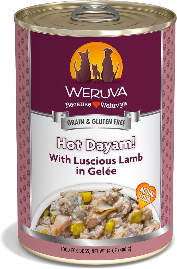 Weruva Classic Dog Food, Hot Dayam! with Lamb in Gelée, 14oz Can (Pack of 12)