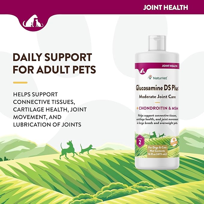 NaturVet Glucosamine DS Plus Hip & Joint Support Liquid Pet Supplement – Level 2 Moderate Care for Dogs & Cats – Includes Glucosamine, MSM, Chondroitin – 16 Oz