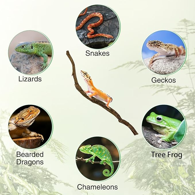 Reptile Branch Decor Snake Climbing Wood Branches Lizard Habitat Decorations Terrarium Wooden Tree Trunk Ornament for Bearded Dragon Snake Geckos Chameleon Frog 4 Pcs (14-16 inch)