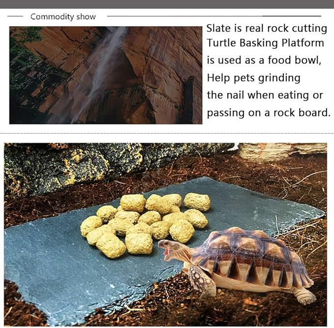 Tfwadmx Reptile Basking Platform, Tortoise Feeding Dish, Natural Rock Reptile Food Bowl Landscape Habitat Decor for Turtle Lizard Bearded Dragon Crested Gecko Snake