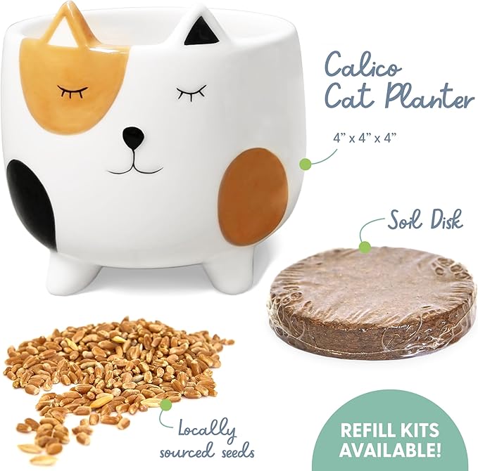 The Cat Ladies Cat Grass for Indoor Cats, Cat Grass Growing Kit with Organic Cat Grass Seed Mix, Soil and Ceramic Cat Planter, Pet Grass for Cats, Natural Hairball Remedy, Cat Gifts