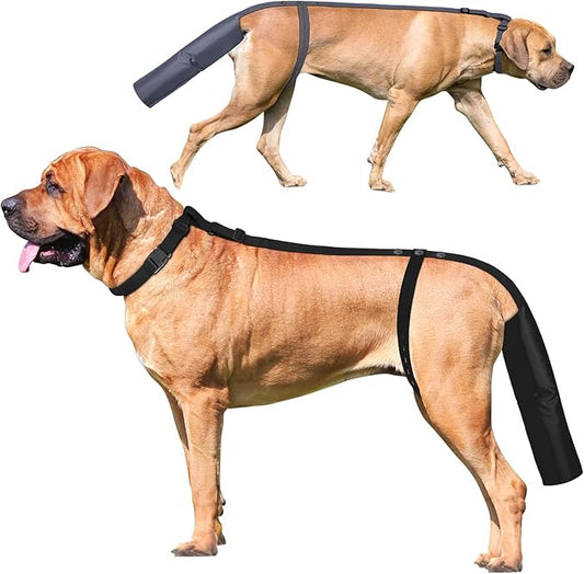 2 Pieces Dog Tail Protector Cover for Wounds, Dogs Tails Heal Sleeve, Dog Wound Care for Medium and Large Dogs to Assist in Recovery from Injury, Tail Size（XL 19.7-21.6", Diameter 5.3-6.3"）