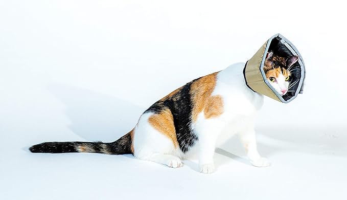 Comfy Cone Pet Cone for Dogs, Cats, Small, Tan - Comfortable Soft Dog Cone Collar Alternative for After Surgery, Wound Care, Spay, Neuter - Dog and Cat Recovery Collar