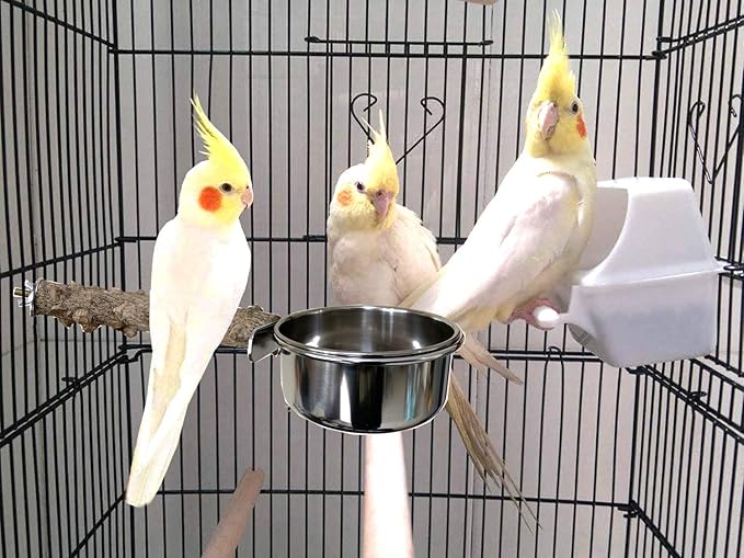 Vehomy Natural Wood Bird Perch with Bird Feeding Cups Bird Stainless Steel Food Water Bowls Dish Feeder for Cockatiel Conure Budgies Parakeet Parrot Bird platform Stand