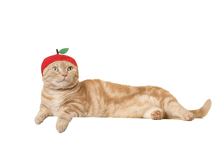 Kitan Club Cat Cap - Pet Hat Blind Box includes 1 of 6 Cute Styles - Soft, Comfortable - Authentic Japanese Kawaii Design - Animal-Safe Materials, Premium Quality (Fruit)