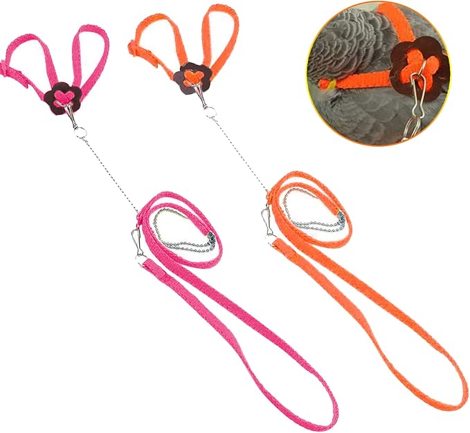 Bonaweite 2 Pack Adjustable Harness Leash, Pet Birds Nylon Anti-bite Training Hraness Outside Walk for Parrot African Grey Cockatoo Macaw Ringneck Parakeet Cockatiel Reptile Lizar