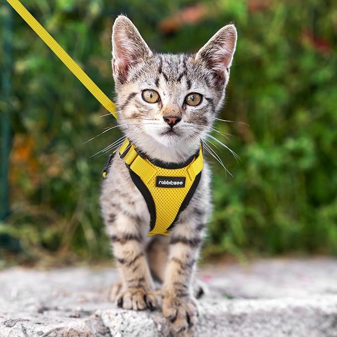 rabbitgoo Cat Harness and Leash for Walking, Escape Proof Soft Adjustable Vest Harnesses for Cats, Easy Control Breathable Reflective Strips Jacket, Yellow, XXS