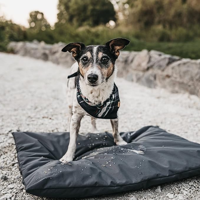 Dog bed cover replacement washable. 30 "L X 20 "W X 3 "H Washable Removable Orthopedic, Cooling Gel and Memory Foam pet Bed Protector Cover, Cover only (black)