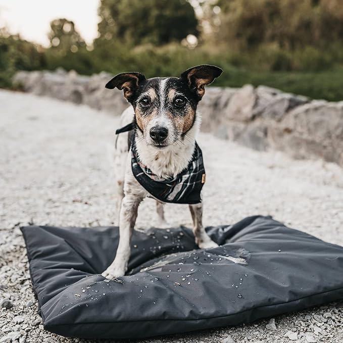 Dog bed cover replacement washable. 44 "L X 32 "W X 4 "H Washable Removable Orthopedic, Cooling Gel and Memory Foam pet Bed Protector Cover, Cover only (black)