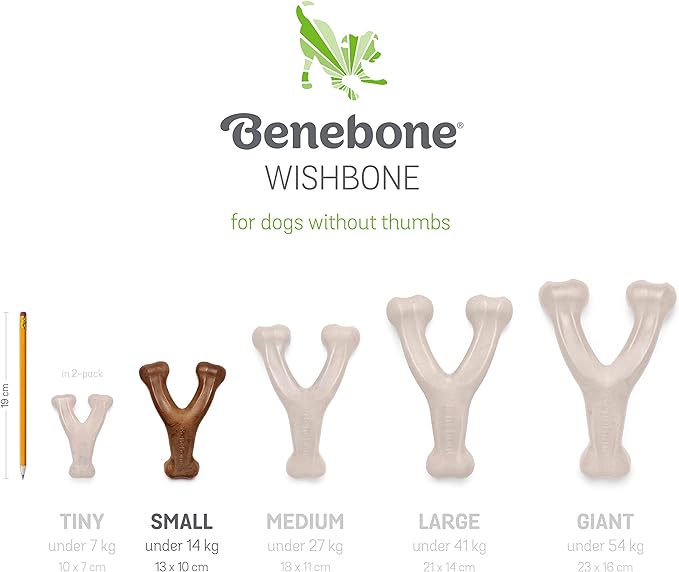 Benebone Wishbone Durable Dog Chew Toy for Aggressive Chewers, Real Peanut, Made in USA, Small, for Any breed