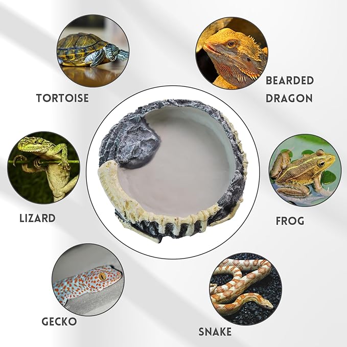 Reptile Food Water Bowl Resin Rock Reptile Feeding Dish Tortoise Feeder Food and Water Plate Amphibian Drinking Basin Reptile Habitat Tank Accessories for Turtle Lizard Leopard Gecko Chameleon