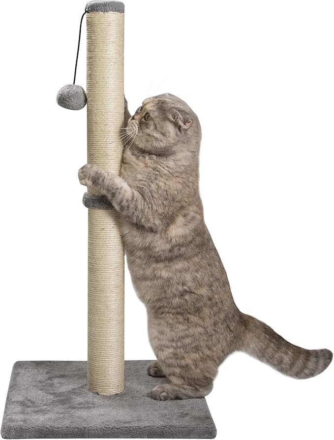 29 Inches Cat Scratching Post, Cat Scratch Post Kitten Scratcher with Sisal Rope, Scratching Post for Indoor Cats with Hanging Ball