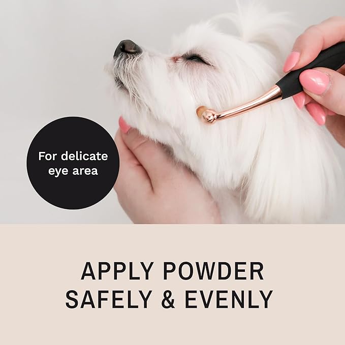 Eye Envy ProPowder Applicator Brush for Dogs and Cats | Use to safely and evenly apply Tear Stain Powder | Small | Washable superfine fiber hair | Long tapered bristles | Ergonomic handle