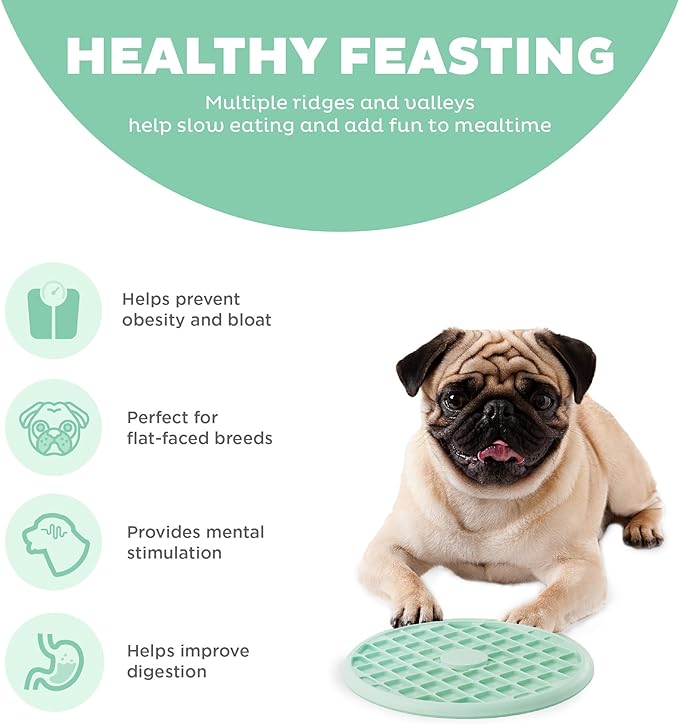 Outward Hound Fun Feeder Slo Tray Slow Feeder Dog Bowl for French Bulldogs and Other Brachycephalic Breeds or Flat-faced Breeds, One Size, Mint Green