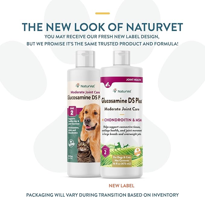 NaturVet Glucosamine DS Plus Hip & Joint Support Liquid Pet Supplement – Level 2 Moderate Care for Dogs & Cats – Includes Glucosamine, MSM, Chondroitin – 16 Oz