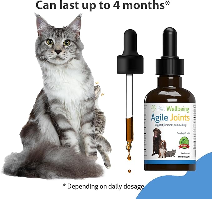 Pet Wellbeing Agile Joints for Cats - Vet-Formulated - Joint Health, Mobility, Ease of Movement - Natural Herbal Supplement 2 oz (59 ml)