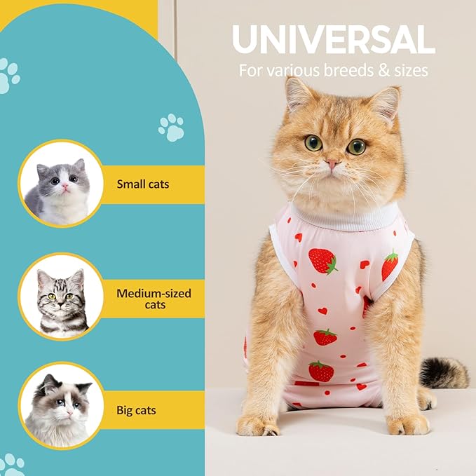 Avont 2 Pack Cat Recovery Suit - Kitten Onesie for Cats After Surgery, Surgical Spay Recovery Suit Female for Abdominal Wounds or Skin Diseases Protection -Cherry/Strawberry(L)