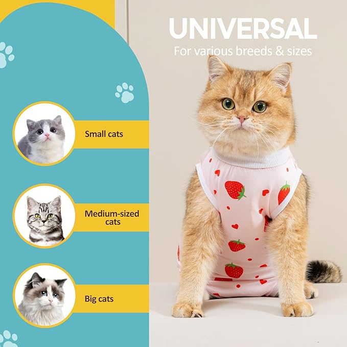 Avont 2 Pack Cat Recovery Suit - Kitten Onesie for Cats After Surgery, Surgical Spay Recovery Suit Female for Abdominal Wounds or Skin Diseases Protection -Cherry/Strawberry(M)