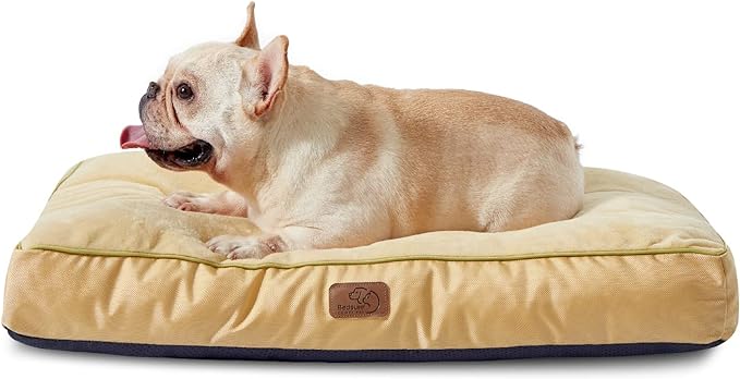 Bedsure Waterproof Dog Beds for Meidum Dogs - 4 inch Thick Up to 50lbs Medium Dog Bed with Removable Washable Cover, Pet Bed Mat Pillows, Spicy Mustard
