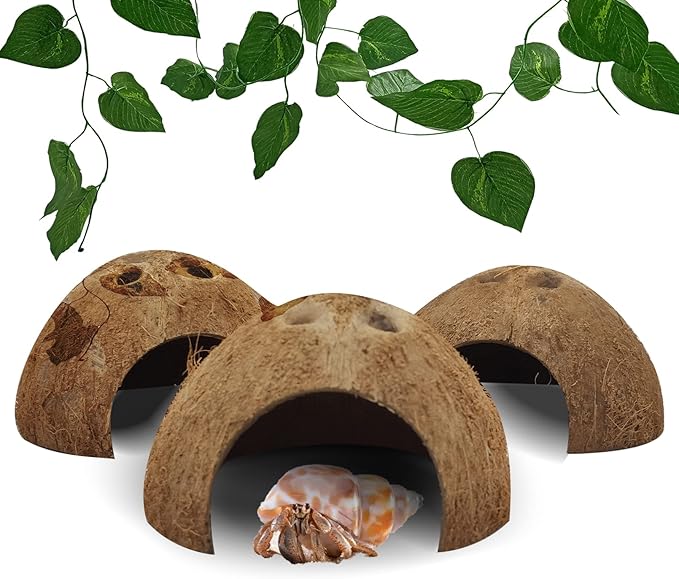 Hamiledyi Reptile Hideouts Natural Coconut Shells Hut Small Animal Hide Cave Hermit Crab Climbing Toys Lizard Habitat Decor Plant Leaves Decoration for Gecko Spider Snake Chameleon (4Pcs)