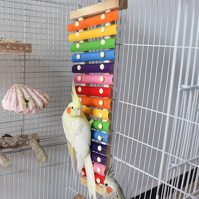 Large Colorful Bird Xylophone Toy, Suspensible Funny Xylophone Toy with 15 Metal Keys, Bird Cage Toy Accessories for Chicken Bird Parrot Parrot Parakeet Budgies Love Birds