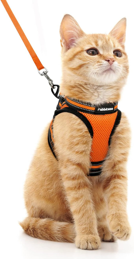 rabbitgoo Cat Harness and Leash Set for Walking Escape Proof, Adjustable Soft Kittens Vest with Reflective Strip for Cats, Comfortable Outdoor Vest,Light Orange,M