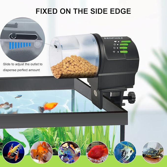 WiFi Fish Feeder Automatic Fish Feeder Automatic Dispenser Vacation Fish Feeder for Aquarium and Turtle Tank with Fish Feeding Ring