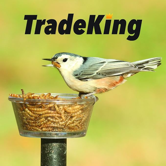 TradeKing 2 lb Dried Mealworms - High Protein Treat for Wild Birds, Chicken, Fish & Reptiles