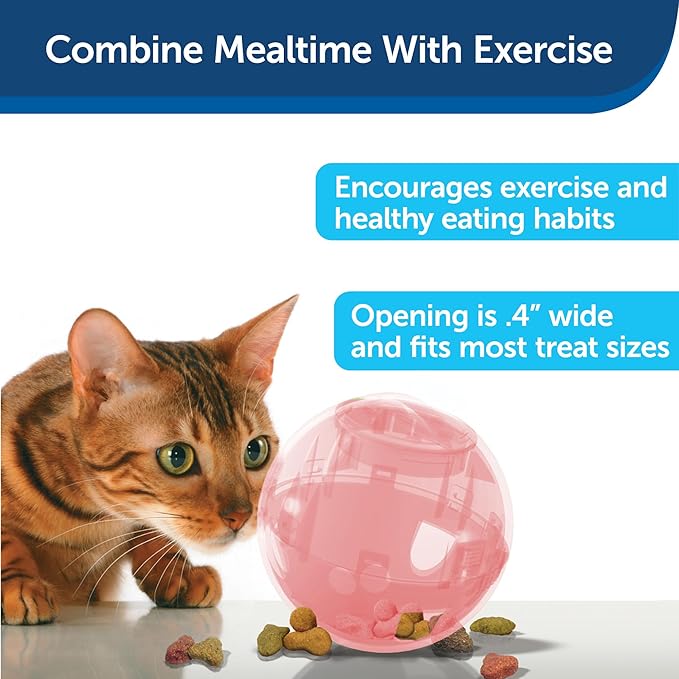 PetSafe Slimcat Feeder Ball - Interactive Game for Your Cat - Fill with Food and Treats - Pink