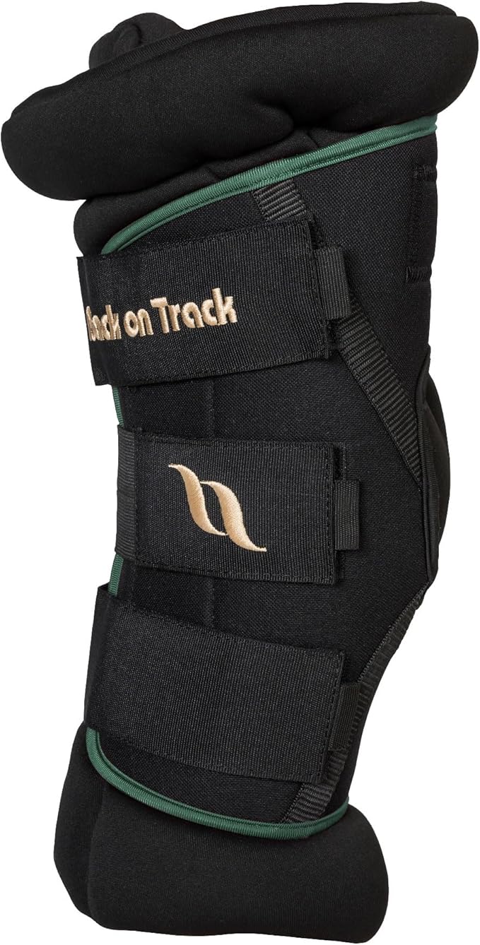 BACK ON TRACK Royal Padded Hock Boots Deluxe with Holes
