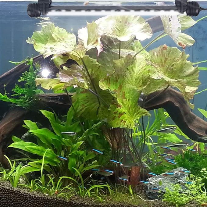 LED Aquarium Light, White Fish Tank Light Underwater Submersible Bright IP68 Waterproof Crystal Glass LEDs Lights Strip Lighting Bar with ON/Off Button, 11 Inch