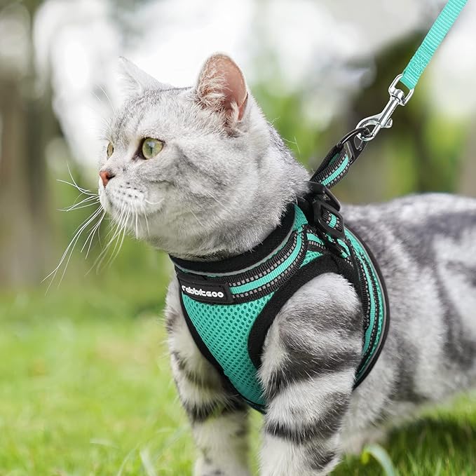 rabbitgoo Cat Harness and Leash Set for Walking Escape Proof, Adjustable Soft Kittens Vest with Reflective Strip for Cats, Comfortable Outdoor Vest,Green,S