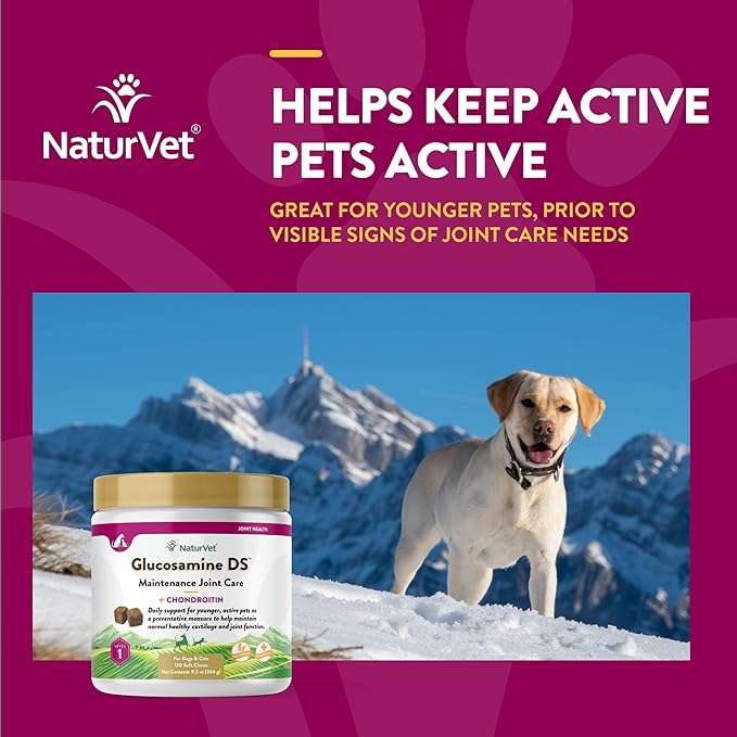 NaturVet Glucosamine DS Level 1 Maintenance, Joint Care Support Supplement for Dogs and Cats, Soft Chews, Made in The USA