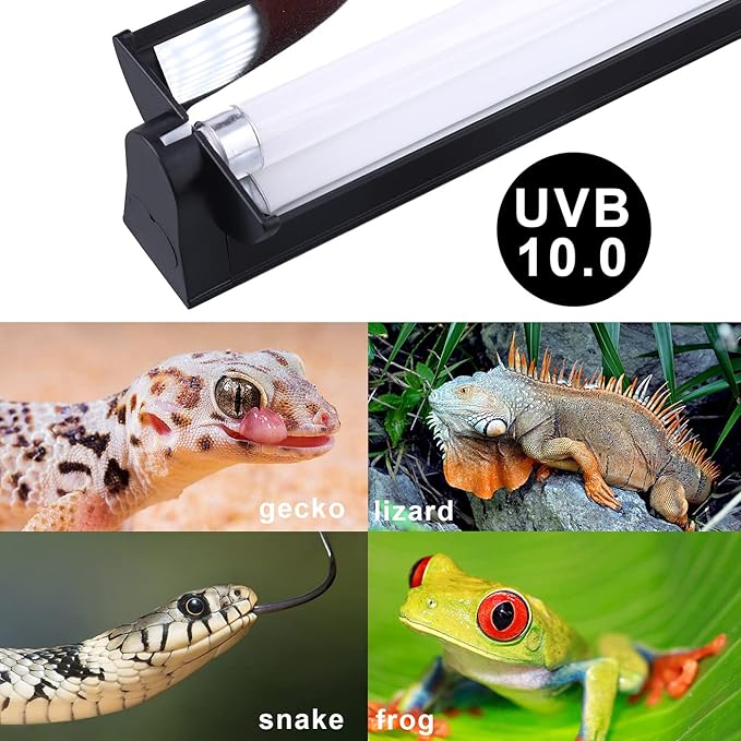 Aiicioo T5 UVB Reptile Light - Desert 10.0 UVA UVB Light Fixture & High Output UVA UVB T5 Bulb for Reptiles Chameleon Gecko Chameleon Gecko (48Inch 54W)