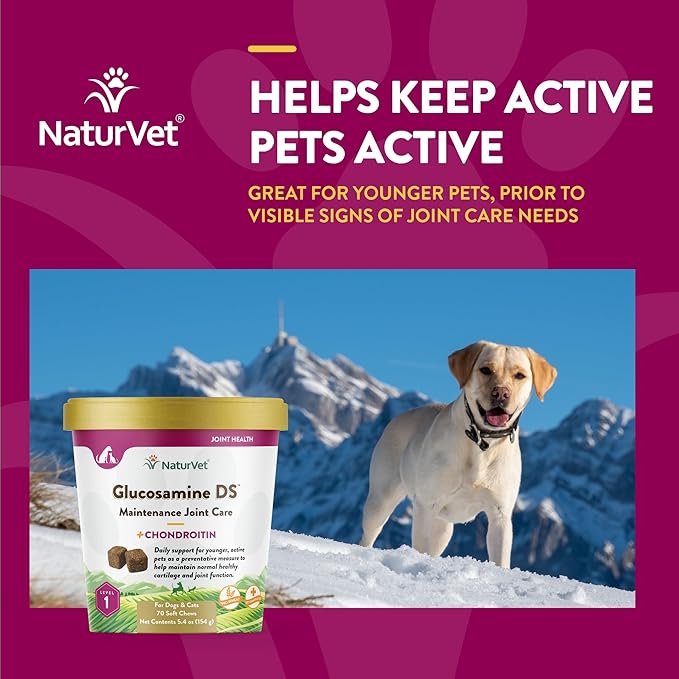 NaturVet Glucosamine DS Level 1 Maintenance, Joint Care Support Supplement for Dogs and Cats, Soft Chews, Made in The USA