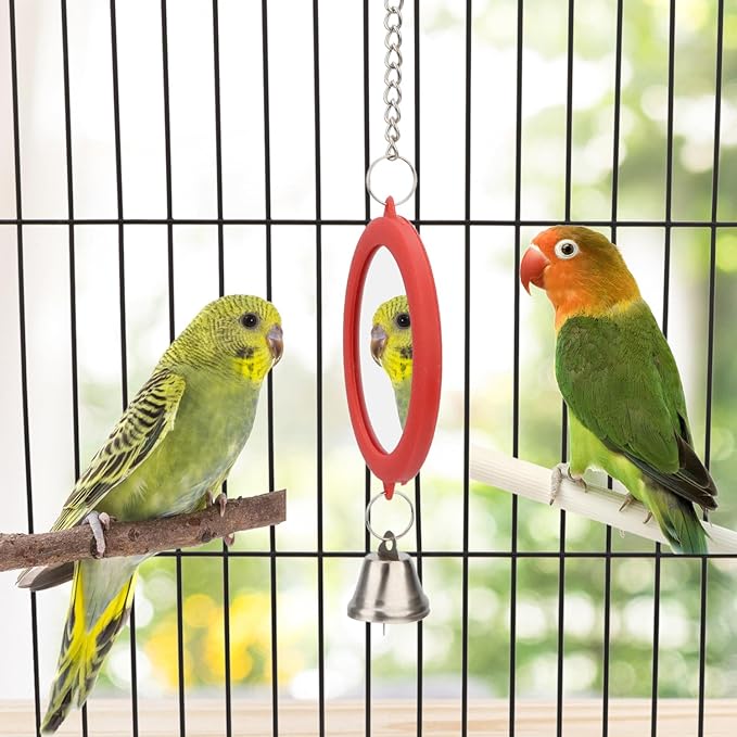 Pet Bird Mirror with Bell Interactive Parrot Toy Bird Cage Mirror for Cockatiel Parakeets Canaries Budgie (RED)