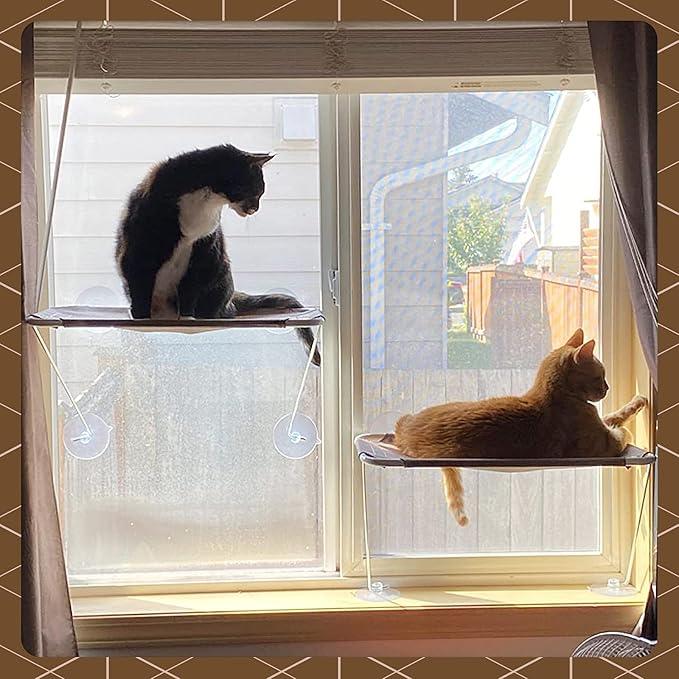 Cat Window Perch, Cozy Cat Window Hammock for Sunbathing Experience, Give Your Cat The Best Seat in The House with a Cat Window Bed - The Best Cat Perch for Your Furry Friend (M, Gold)