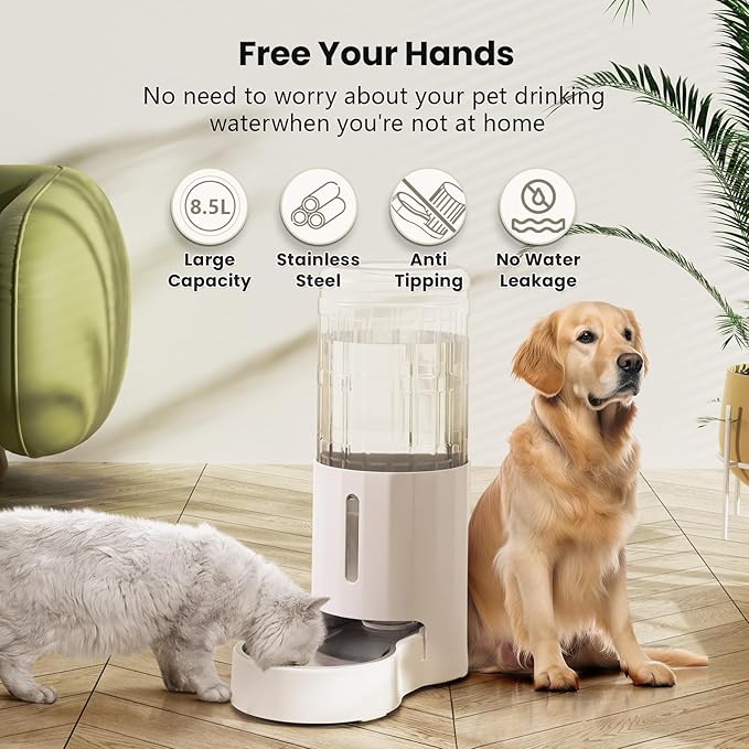 CZPET Automatic 8.5L Dog and Cat Water Dispenser with Stainless Steel Bowl Gravity Waterer,100% BPA-Free,Large Capacity and Drinking Area Noise-Free for Pets