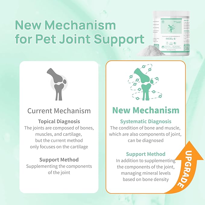 Inoel-6 for Cats and Dogs - Supports Bone Density, Joint and Abnormal Tissue with Pure IP6, Magnesium, Zinc, Manganese, Vitamin K2 (87.50g) (Inoel-6)