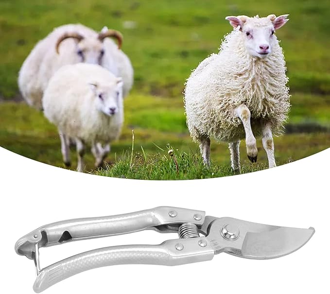 1PCS Goat Hoof Trimmers, Sheep Hoof Shears Goat Hoof Trimmers Pig Trotter Shears Pliers Animal Toe Nails Trimming Repairing Tool (Silver)