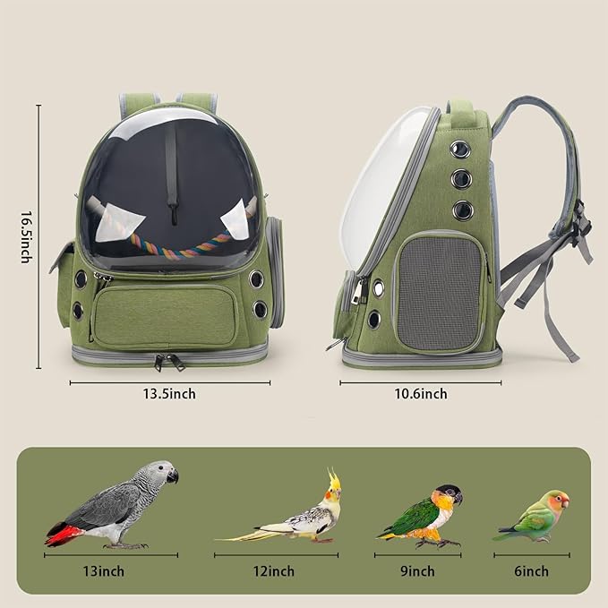 Bird Backpack Carrier Travel Cage with Perch, Tray and Breathable Clear Window, Bird Travel Cage for Cockatiel Caique Conure Quaker, for Vetting Camping Hiking (Green)