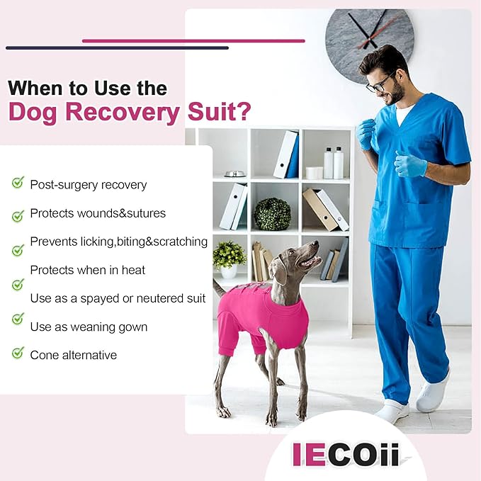 IECOii Dog Onesie for Surgery,Dog Surgery Suit Female Spay Recovery Suit for Medium Size Dog,Dog Recovery Suit Male Pet Abdominal Anti Licking Shirt,Dog Bodysuit Alternative to Cone E-Collar,M-Rosered