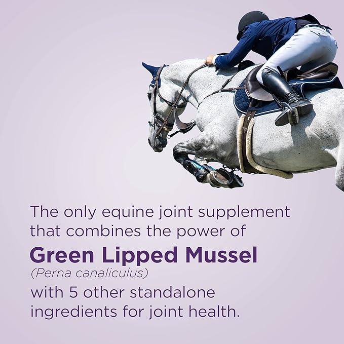 Formula 707 Joint 6in1 Equine Supplement 10LB Bucket– Support for Joint Integrity and Inflammatory Response in Horses – Green-Lipped Mussel, MSM, Glucosamine, Chondroitin & Collagen