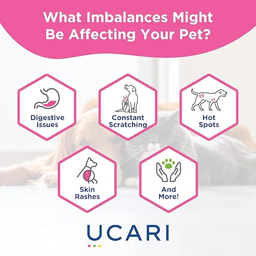 Pet Sensitivity Test | Screens for 1000+ Intolerances | Food & Environment Analysis | Painless Home Test Hair Sample Method | Results in 48 Hours | Cats & Dogs