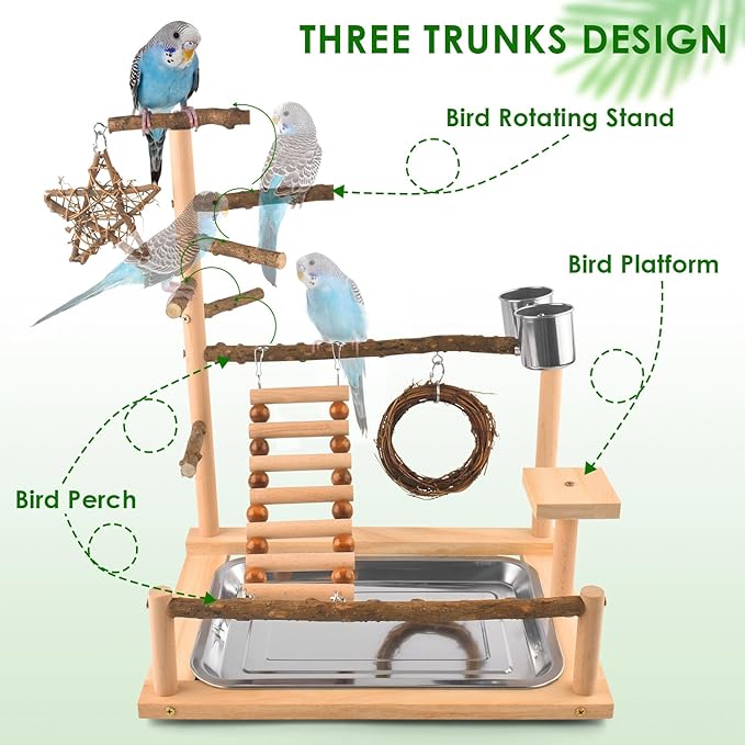 KATUMO Bird Playground Bird Perch Stand Natural Parrot Playstand Parakeet Platform Conure Swing Toy Cockatiel Ladder Bird Cage Toys with Removable Tray and 2 Stainless Steel Cups