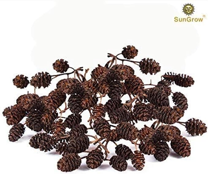 SunGrow Alder Cones for Shrimps, Water Conditioner for Freshwater Shrimp Tanks, Aquarium Decorations & Accessories, 1”, 50 Cones per Pack