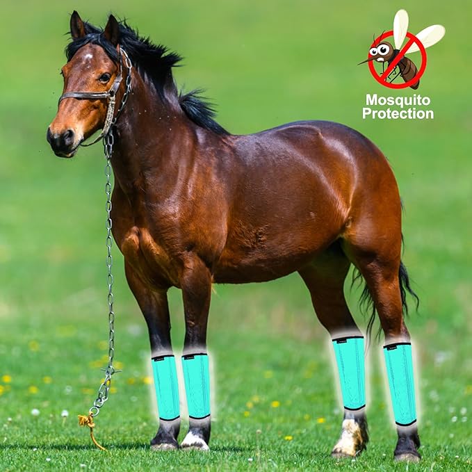 Horse Fly Boots, Adjustable Fly Boots for Horses Set of 4, Comfortable Horse Leggings, Breathable Plastic Mesh Material, Horse Supplies for Reduces Stress & Leg Fatigue (Green)