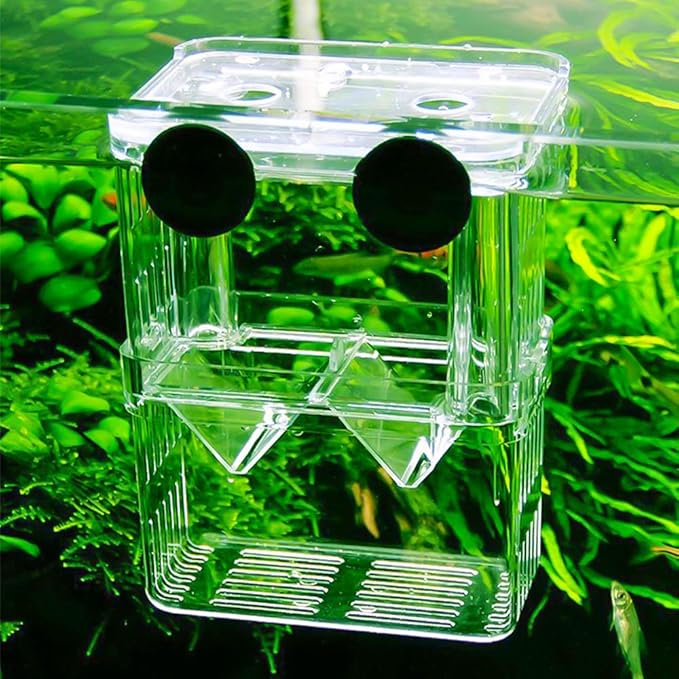 Senzeal Aquarium Fish Breeder Box Plastic Fish Isolation Breeding Box Hatching Incubator Box for Baby Fish Shrimp Clownfish Guppy