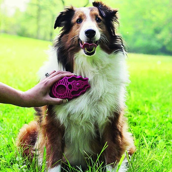 KONG - ZoomGroom - Dog Brush for Grooming and Shampooing - Red Brush for Large Dogs