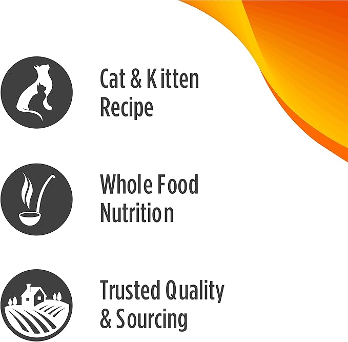 Nulo Freestyle Freeze-Dried Raw, Ultra-Rich Grain-Free Dry Cat Food for All Breeds and Life Stages with BC30 Probiotic for Digestive and Immune Health